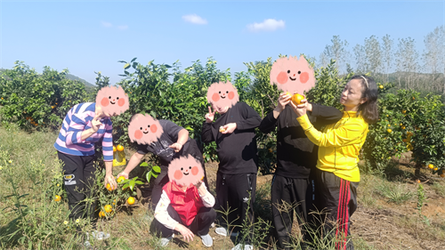 图片 5.png