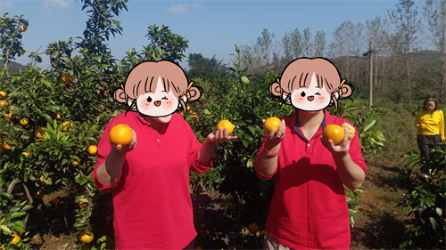 图片 7.png